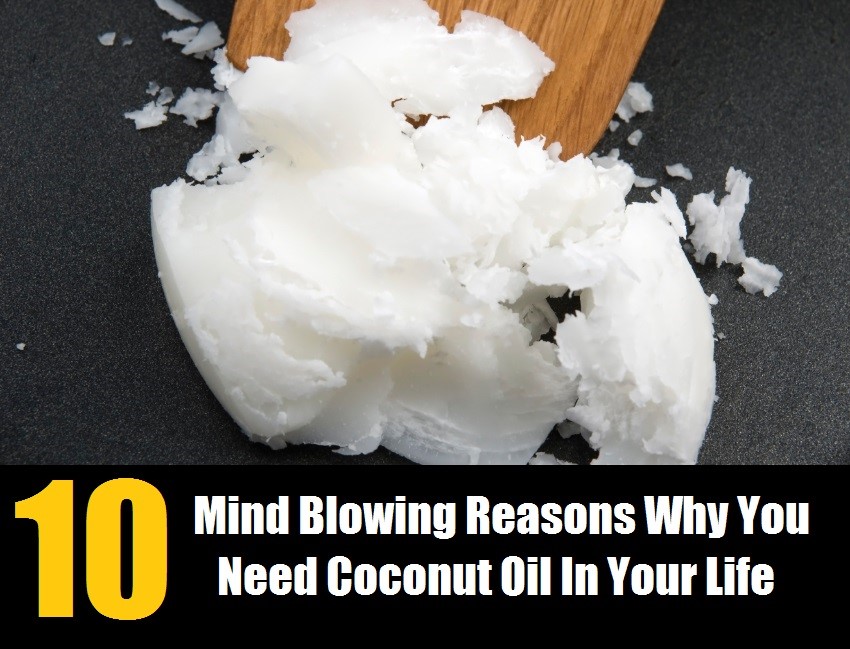10 Mind Blowing Reasons Why You Need Coconut Oil In Your Life