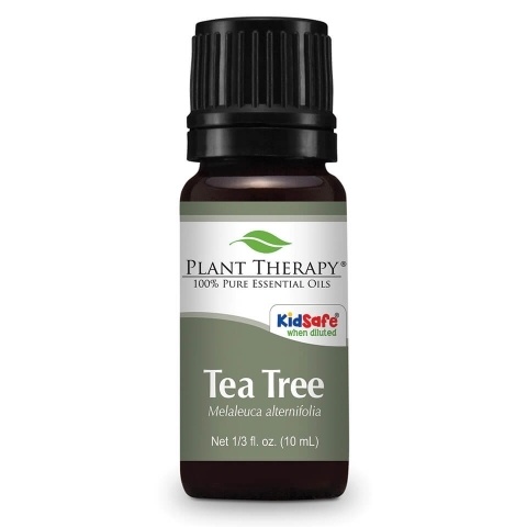 What are the dangers of using tea tree oil during pregnancy?