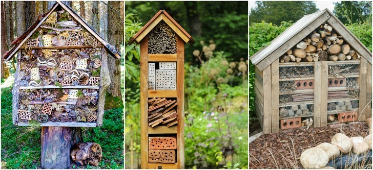 5 Reasons You Should Build a Bug Hotel & How to Do It