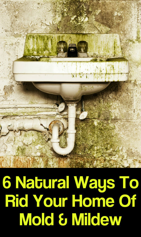 6 Natural Ways to Rid Your Home of Mold & Mildew 1