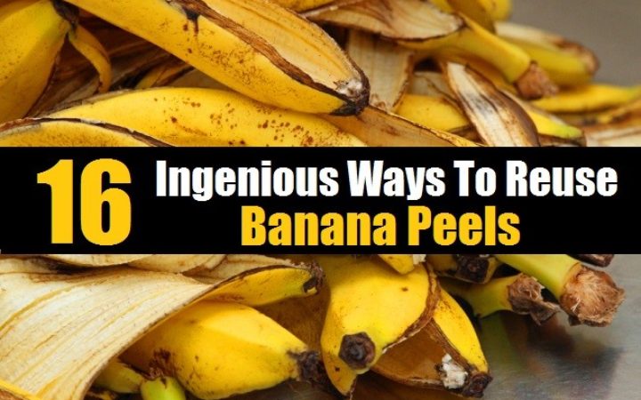 16 Ingenius Ways To Re-Use Banana Peels
