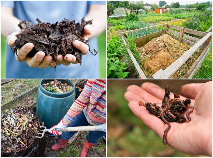 Composting 101: How To Create Compost That Works Like Rocket Fuel For Your Garden