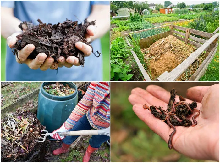 Image of Rocket grow compost bin close up