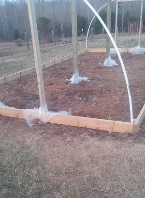 How To Build A 300 Square Foot Windproof Greenhouse For Under $500