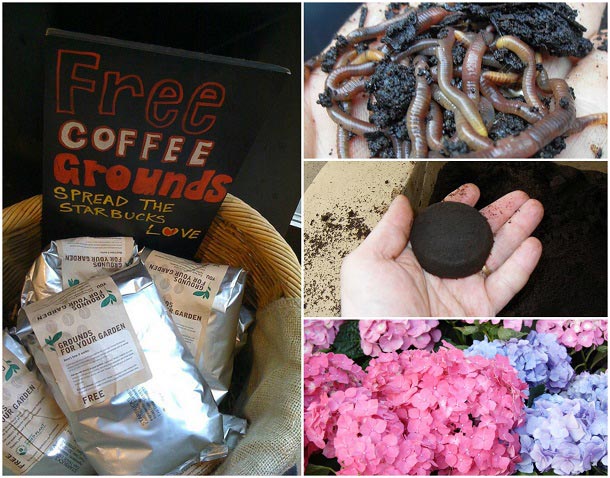 10 Genius Ways To Use Old Coffee Grounds In Your Garden