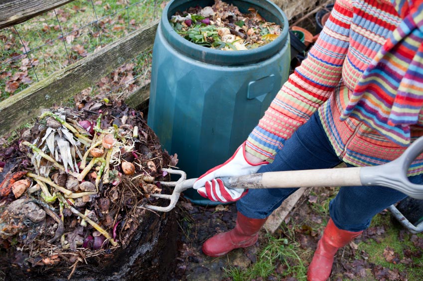 50 Resources To Help You Become More Self-Sufficient