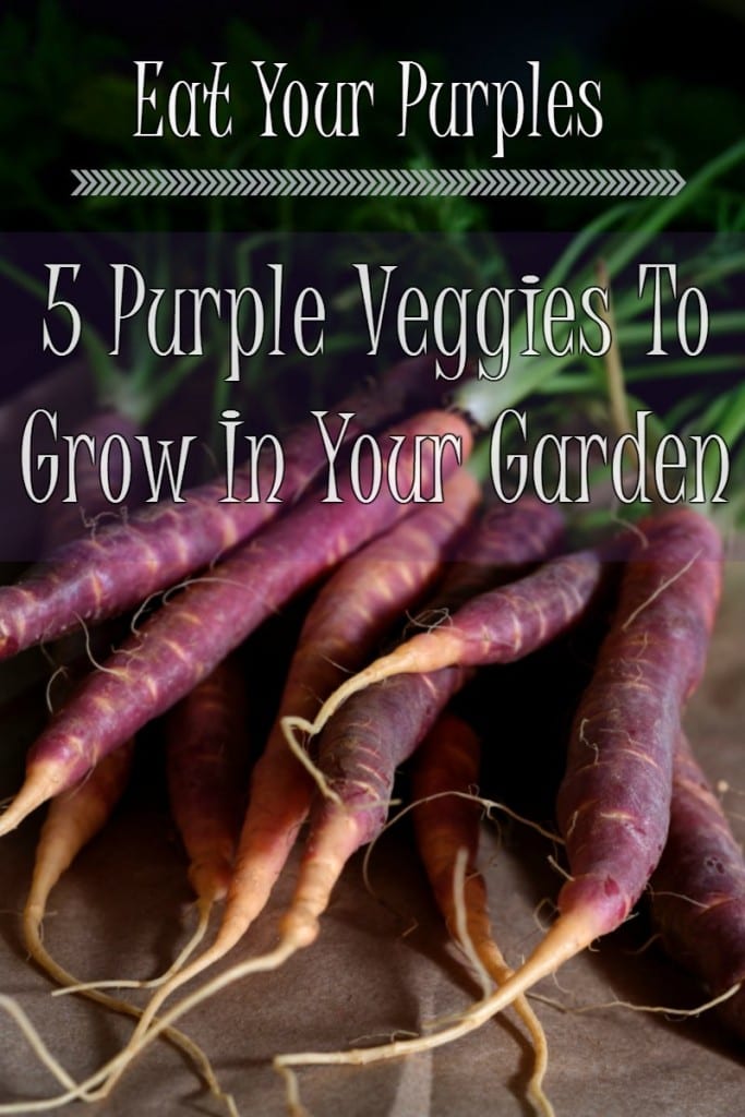 5 Purple Veggies To Grow In Your Garden