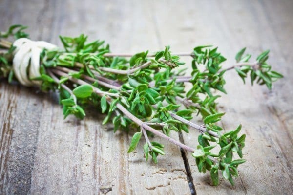 12 Herbs You Need To Grow In Your Medicinal Garden