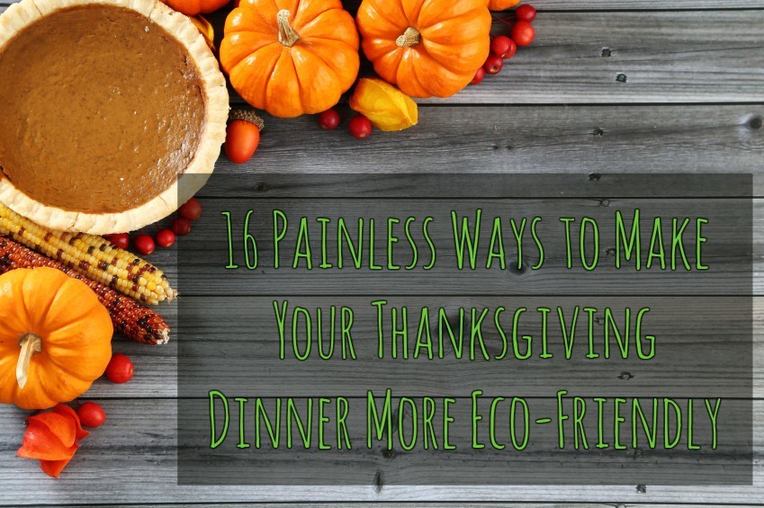 16 Painless Ways to Make Your Thanksgiving Dinner More Eco-Friendly