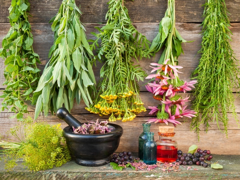 12 Healing Herbs You Need To Grow In Your Medicinal Garden