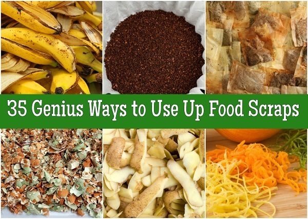 35 Genius Ways to Use Up Food Scraps