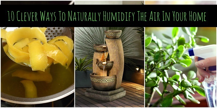 10 Clever Ways To Naturally Humidify The Air In Your Home