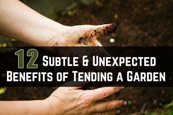 12 Subtle & Unexpected Benefits of Tending a Garden