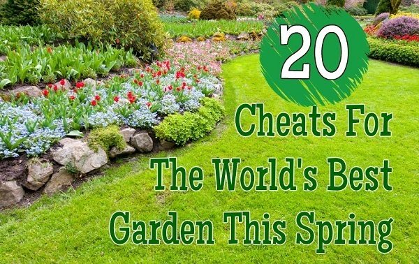 20 Cheats For The World's Best Garden This Spring