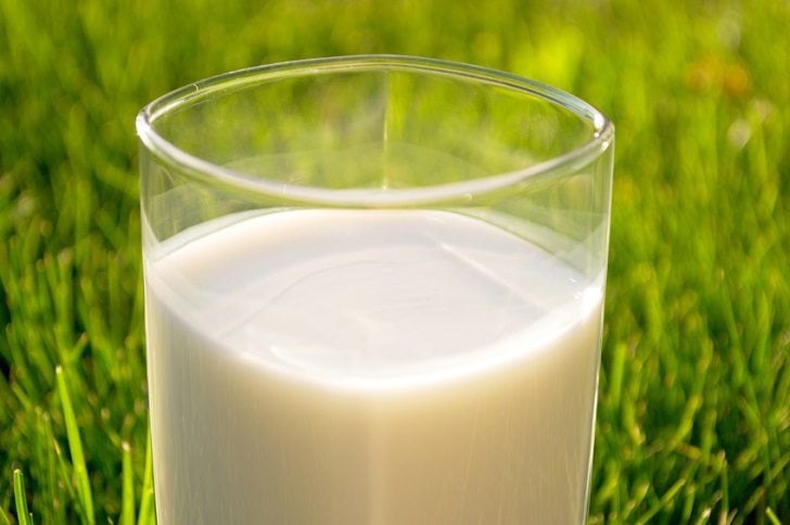 Raw Milk vs Pasteurized Milk Which is Healthier?