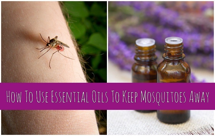 How To Use Essential Oils To Keep Mosquitoes Away