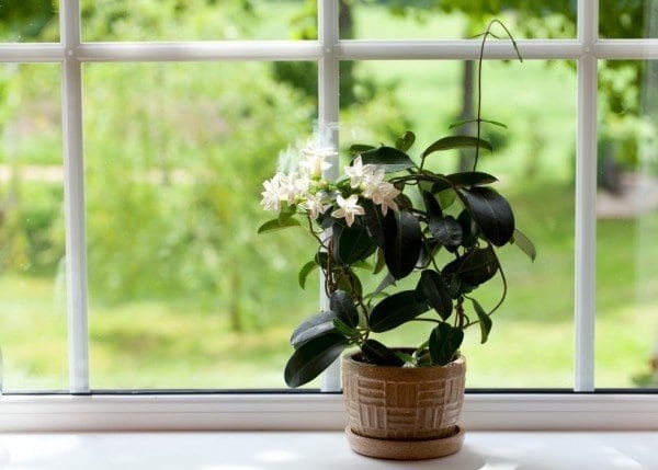 15 Ways To Raise The Vibrations of Your Home