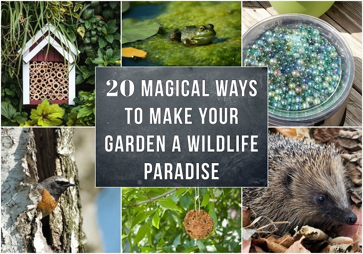 20 Magical Ways To Make Your Garden A Wildlife Paradise