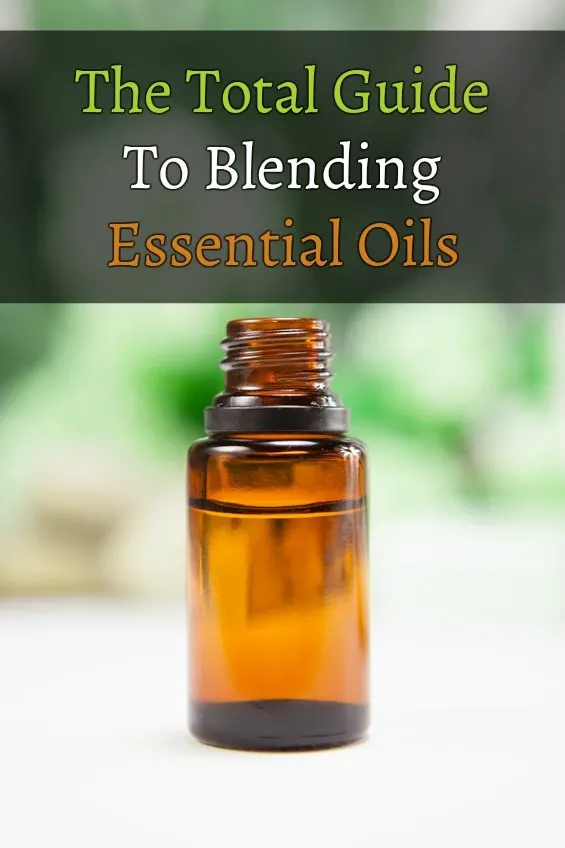 How to Blend Essential Oils Aromatically and Therapeutically  Essential oil  blends, Essential oil brands, Best essential oils