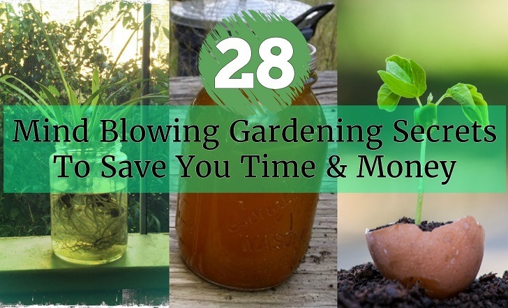 28 Mind Blowing Gardening Secrets To Save You Time & Money