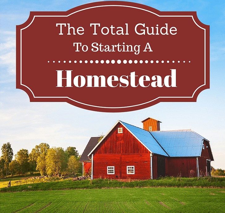 Total Guide For Homesteading TEXT