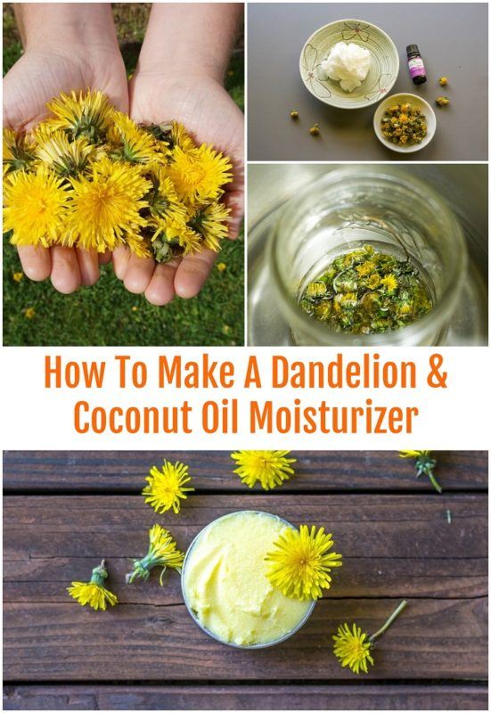 How To Make A Dandelion & Coconut Oil Moisturizer