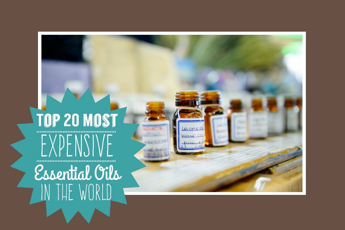 Top 20 Most Expensive Essential Oils In The World