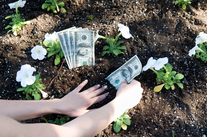 9 Money Saving Secrets Every Gardener Needs To Know