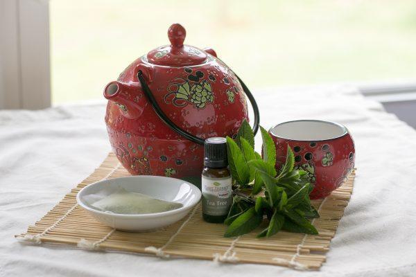 Green Tea and Peppermint Spray Ingredients