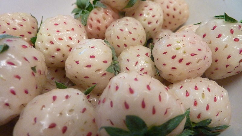 what are pineberries?