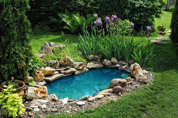 How To Create Your Own Thriving Backyard Water Garden