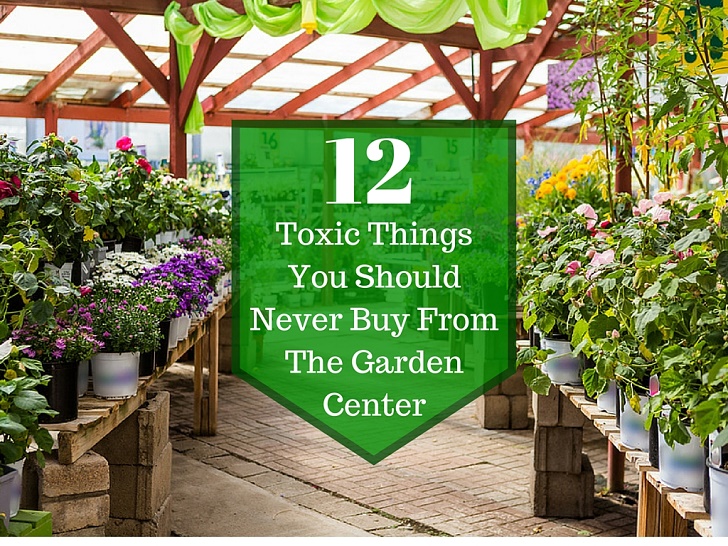12 Things Never Buy At A Garden Center