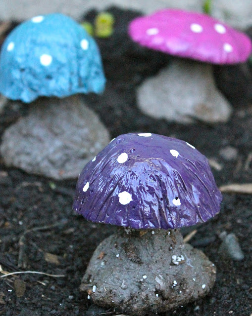 mushrooms for garden