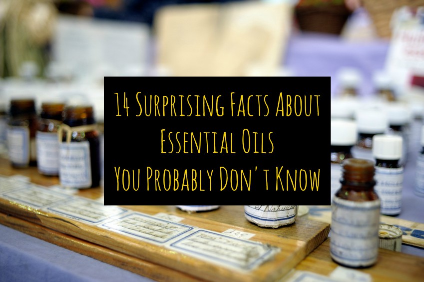 14 Surprising Facts About Essential Oils You Probably Don't Know