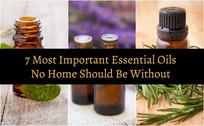 7 Most Important Essential Oils No Home Should Be Without