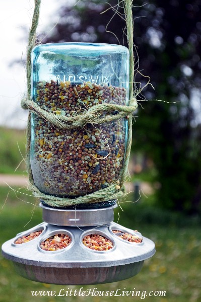 mason jar feeder