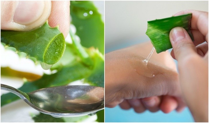 9 Reasons To Rub Aloe Vera On Your Face, Skin & Hair + 20 Recipes To Try