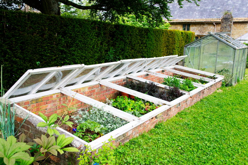 3 Reasons You Should Build A Cold Frame + DIY Ideas