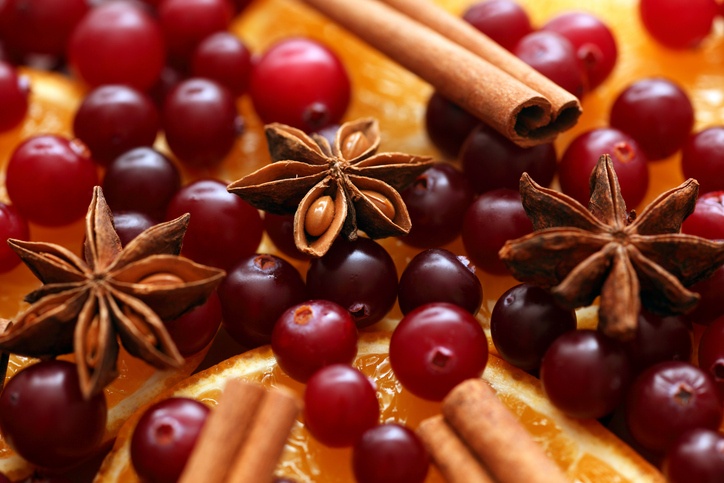 Cinnamon sticks, star anise, orange slices and cranberries