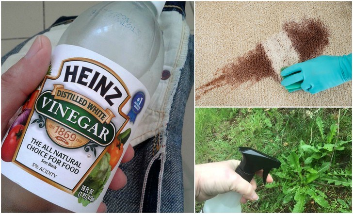 11 Weird But Clever Uses For White Vinegar