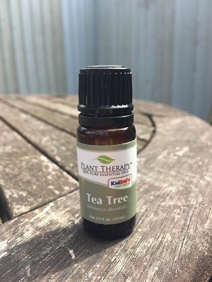 Plant Therapy Tea Tree Oil