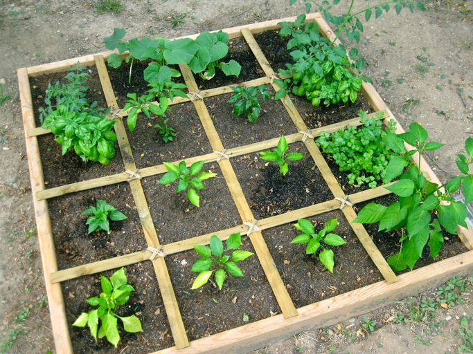 How To Plan A Square Foot Vegetable Garden - The Easiest Way To Grow Abundant Veg