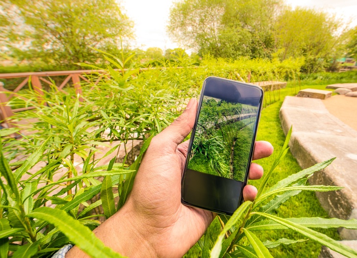 12 Apps Every Gardener Should Download Right Now