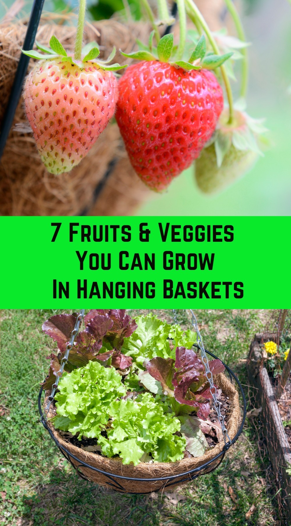 7 Fruits & Vegetables You Can Grow In Hanging Baskets