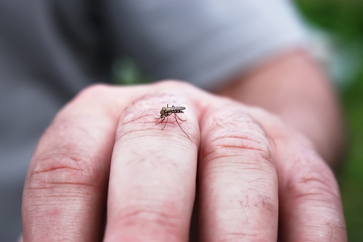 7 Things That Make You Extra Attractive To Mosquitoes (+ How To Stop It)