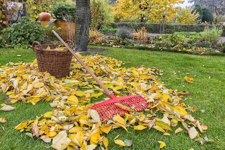 11 Ways To Prepare Your Garden For Fall & Winter