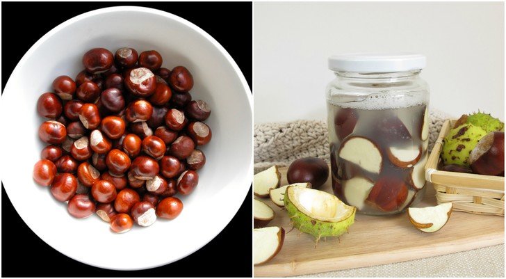 How To Make Totally Free Laundry Soap From Horse Chestnuts (Conkers)