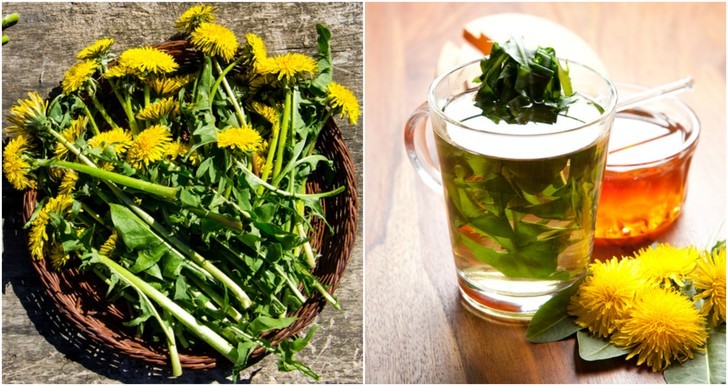 13 Reasons You Should Brew A Cup Of Dandelion Tea