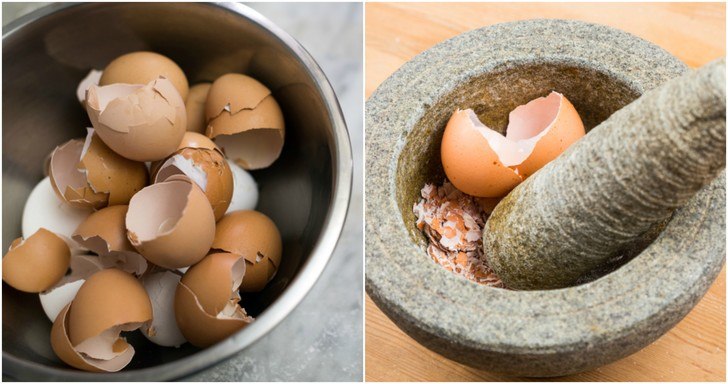 4 Reasons To Eat Eggshells, How To Do It & 12 Other Uses 