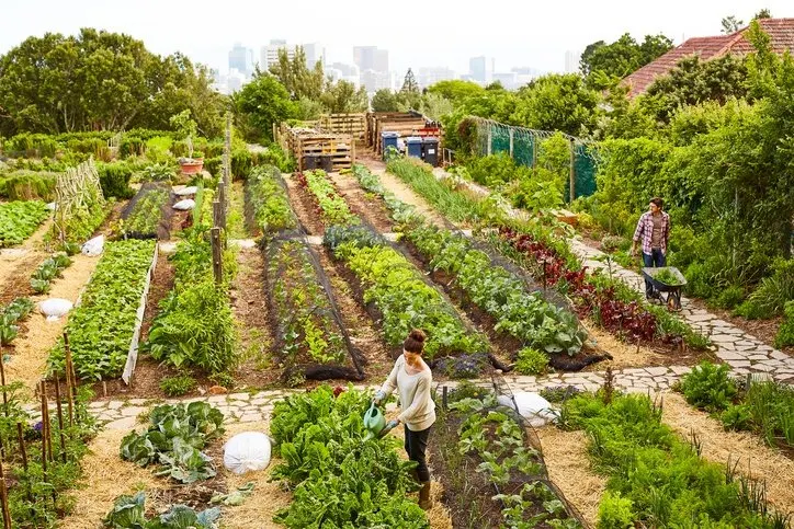 When to Add Perlite Soil to Container Gardens - Countryside